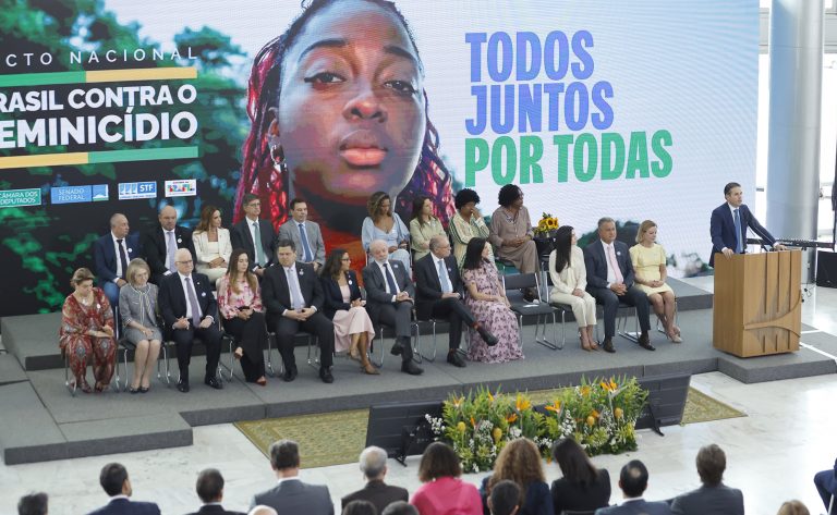 Comitê Interinstitucional contra o Feminicídio analisa sugestões para plano de ação